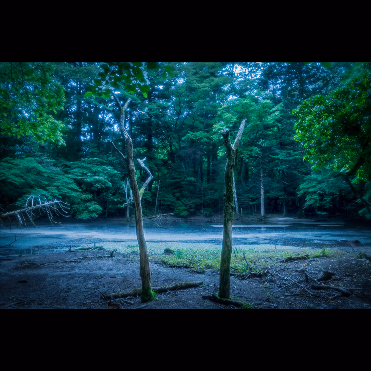 投稿写真：静寂
