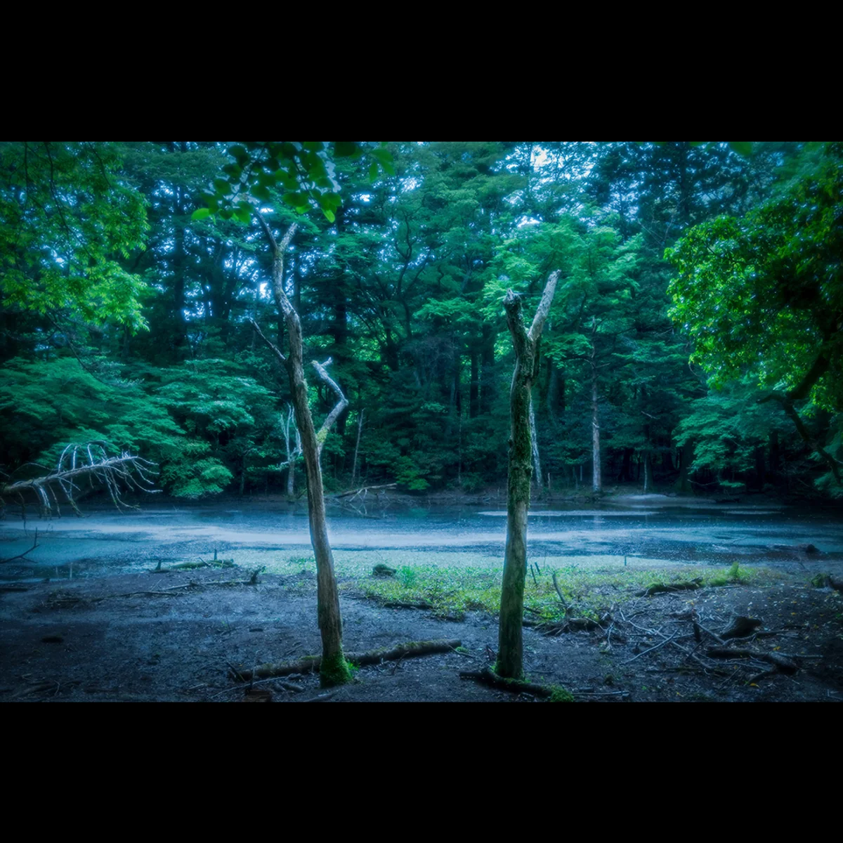 投稿写真：静寂