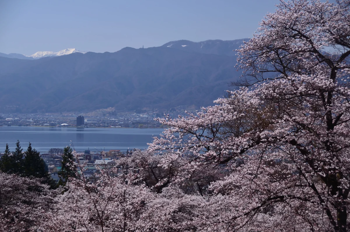 投稿写真：諏訪湖畔春日和