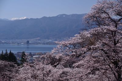  | 絶景事典