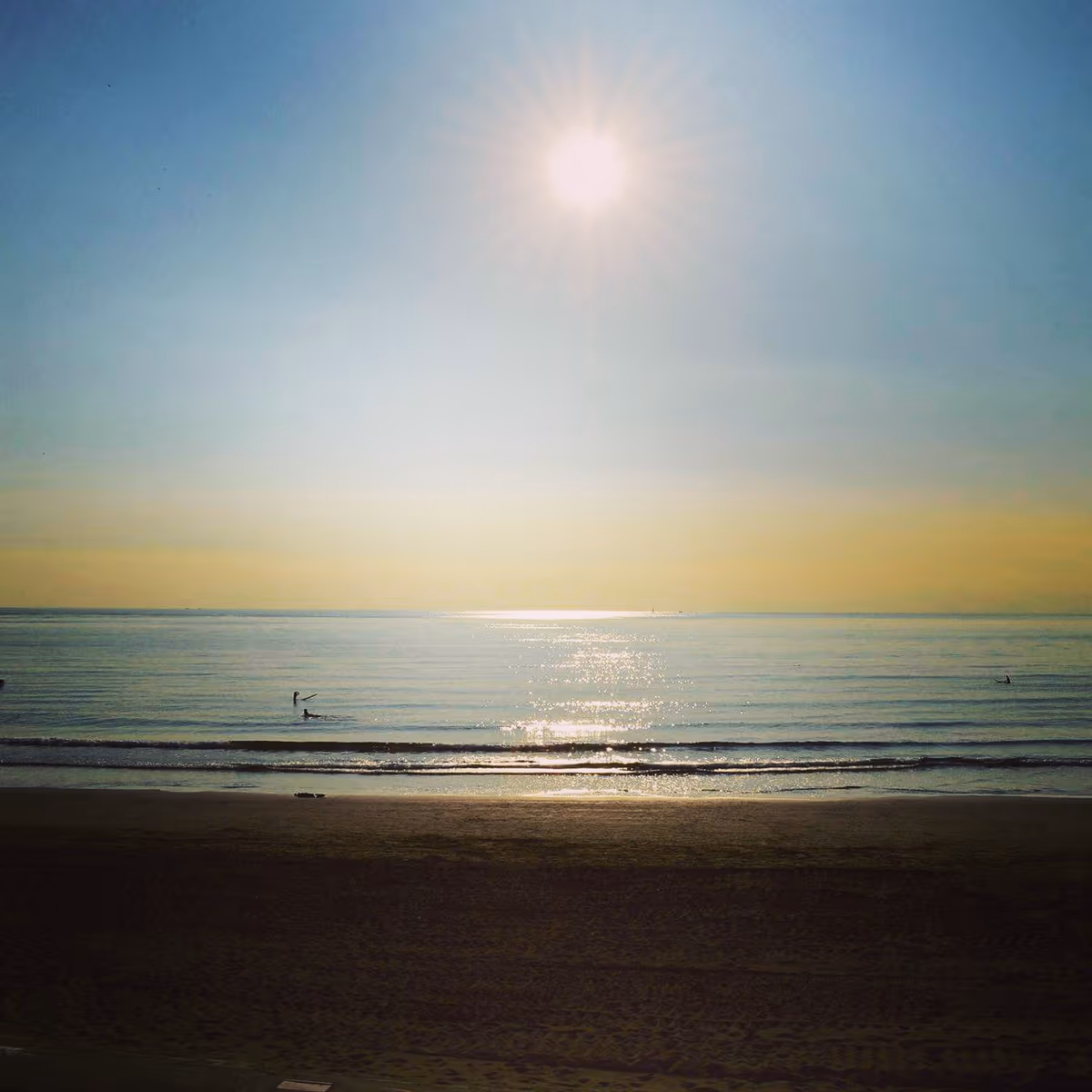 投稿写真：夕暮れ前の湘南海岸