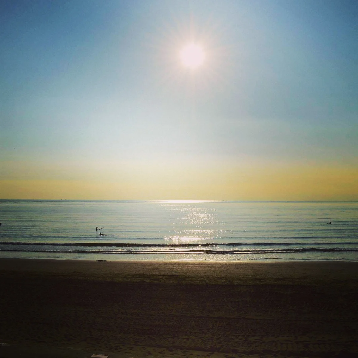 投稿写真：夕暮れ前の湘南海岸