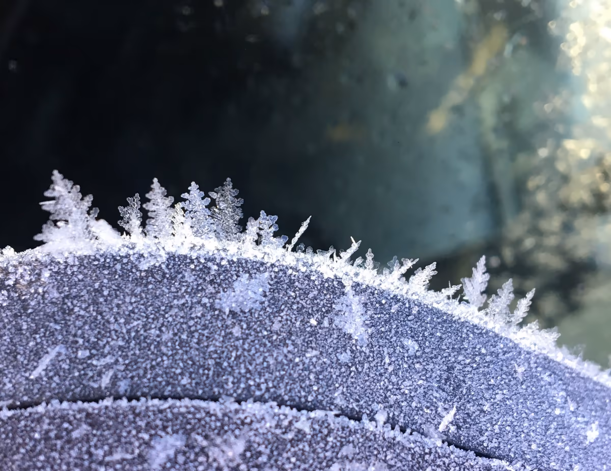 投稿写真：雪の結晶