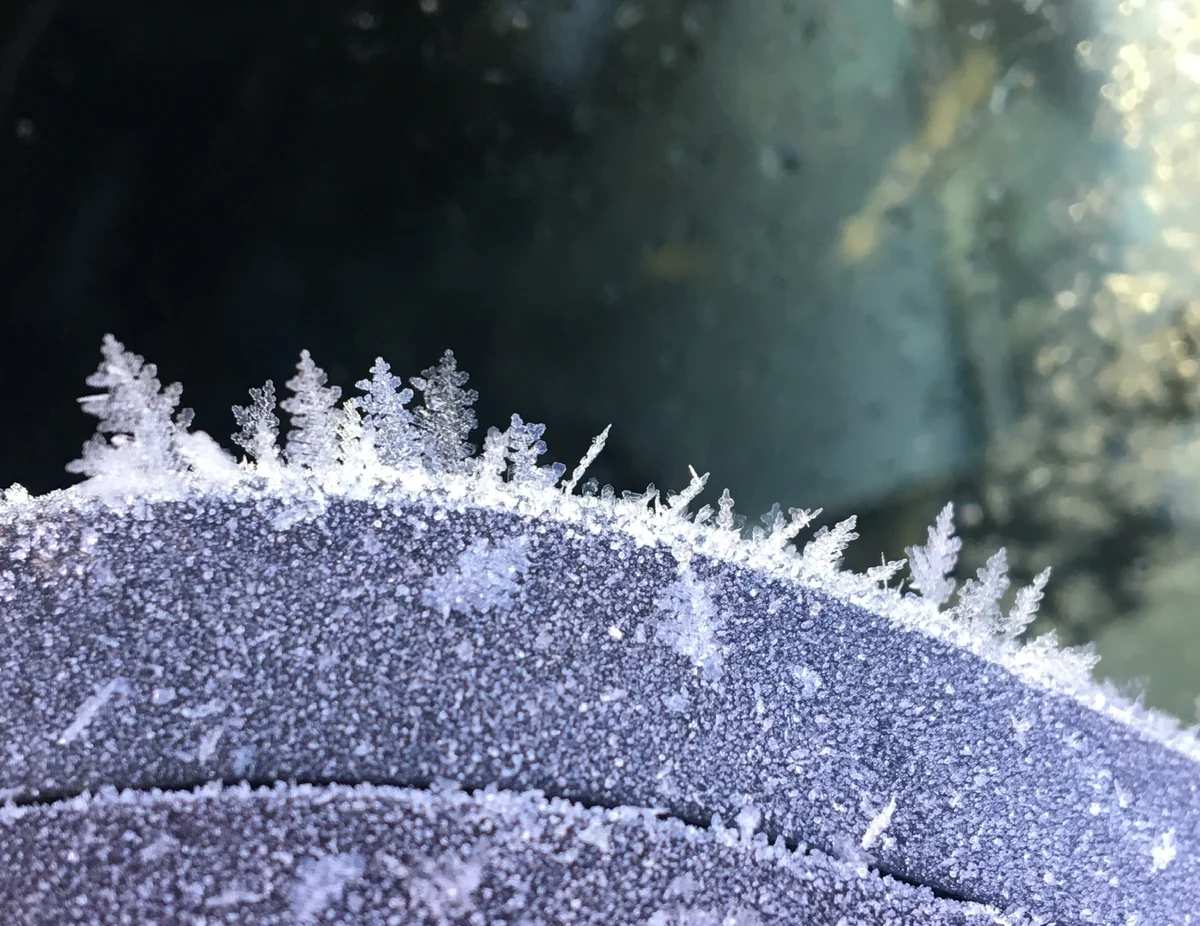 投稿写真：雪の結晶