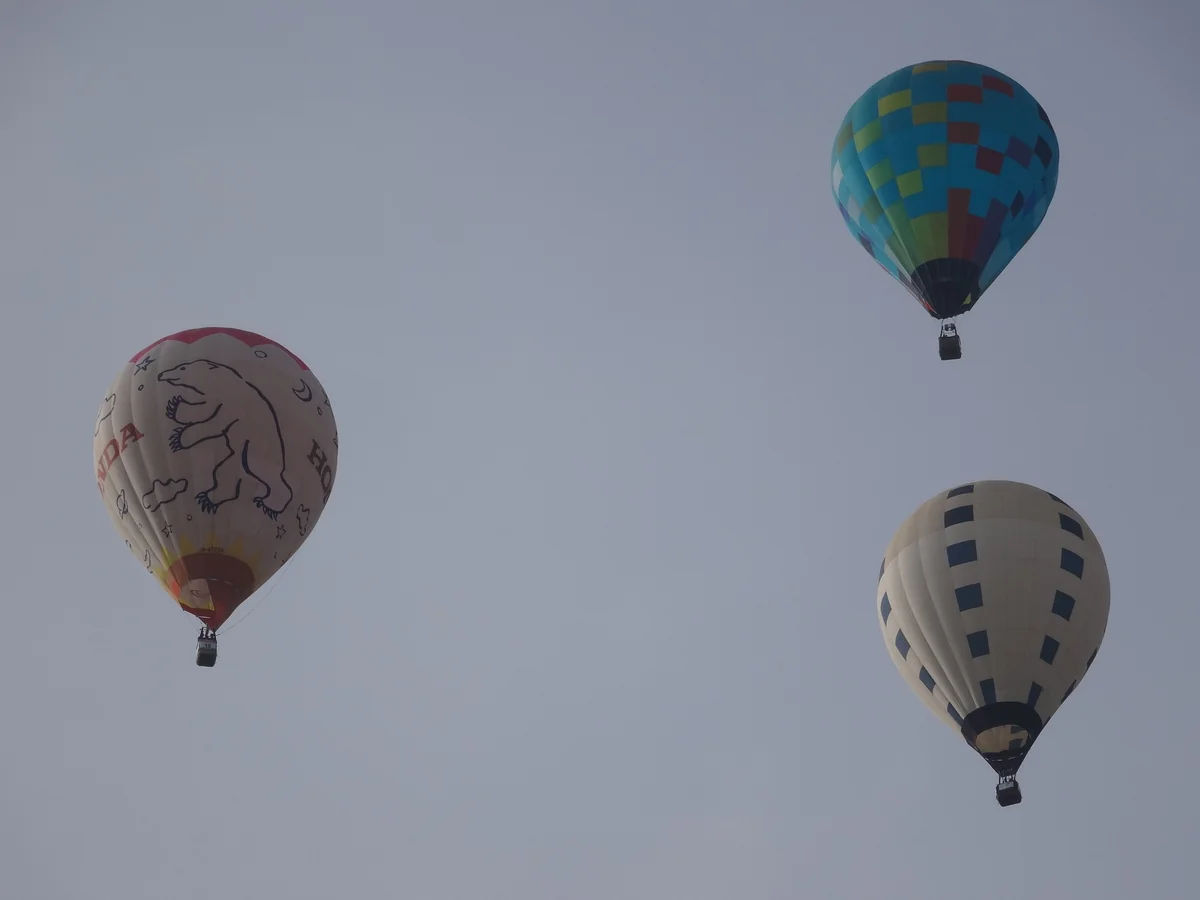 投稿写真：『熱気球』＼佐久バルーンフェスティバル