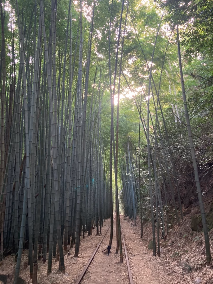 投稿写真：廃線跡