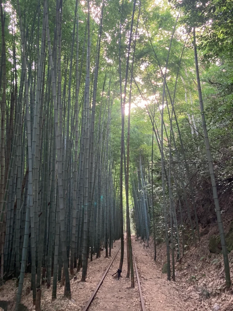 投稿写真：廃線跡
