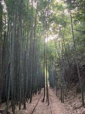 | 絶景事典