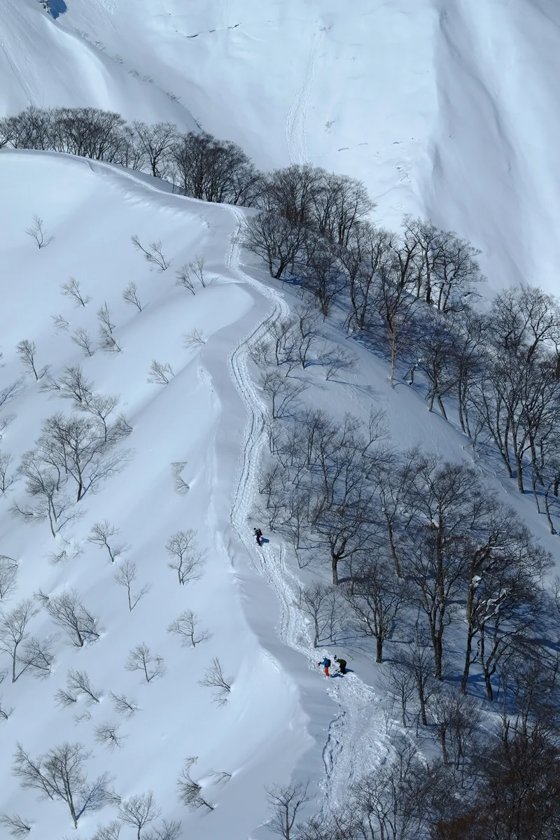 投稿写真：ちっぽけな