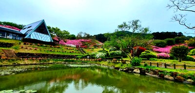  | 絶景事典