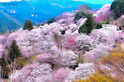  | 絶景事典