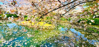  | 絶景事典