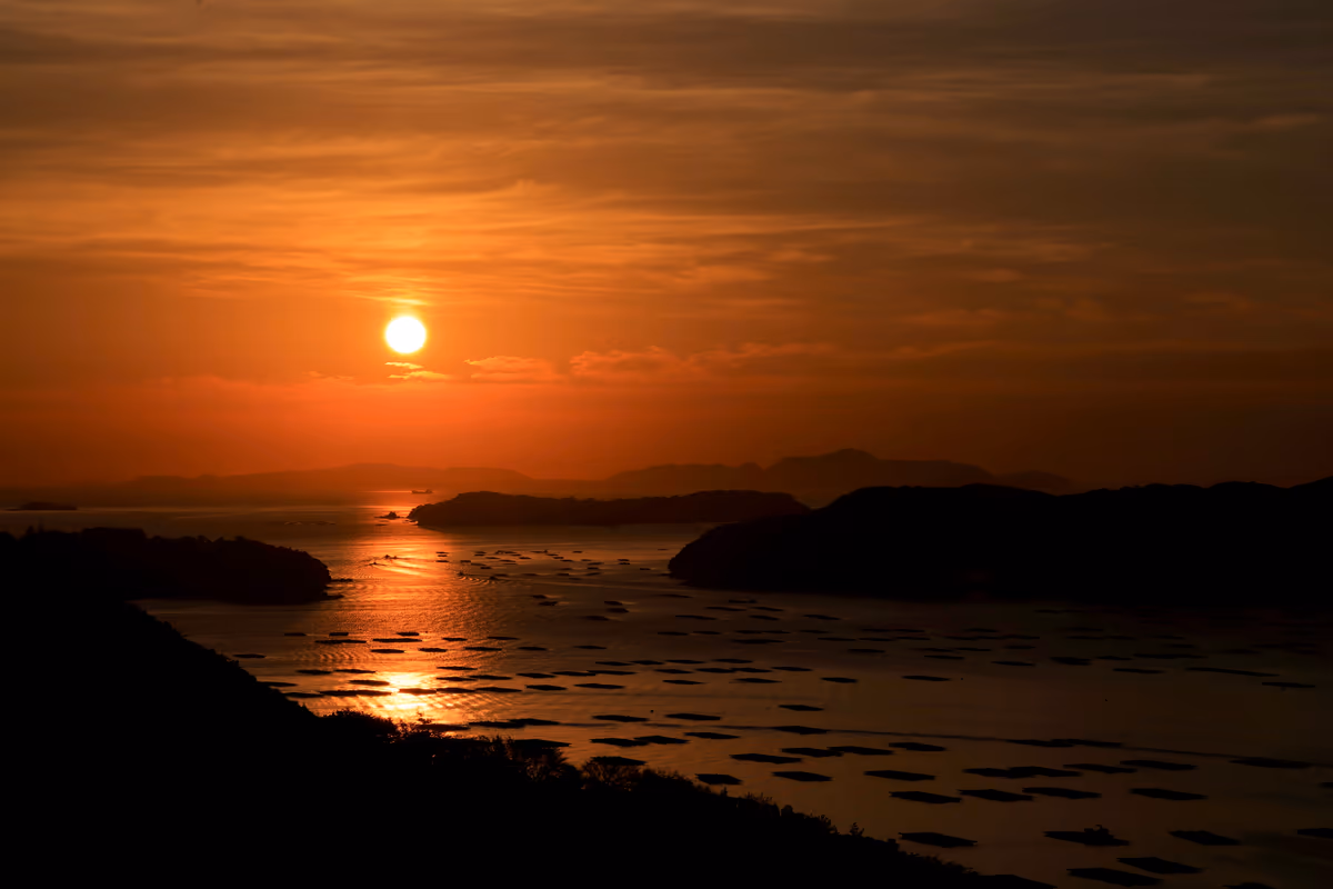 投稿写真：迫門の曙（大平山）