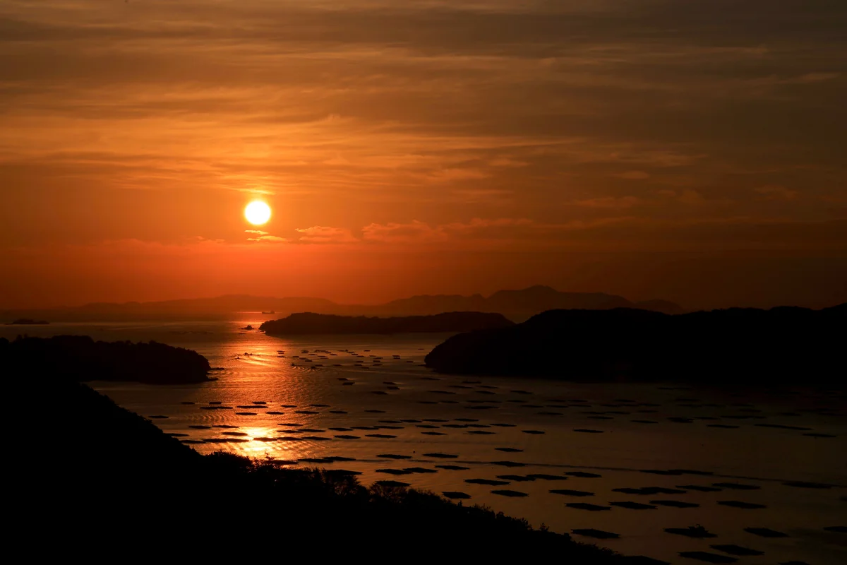 投稿写真：迫門の曙（大平山）