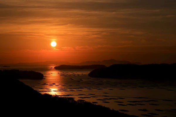 投稿：迫門の曙（大平山）
