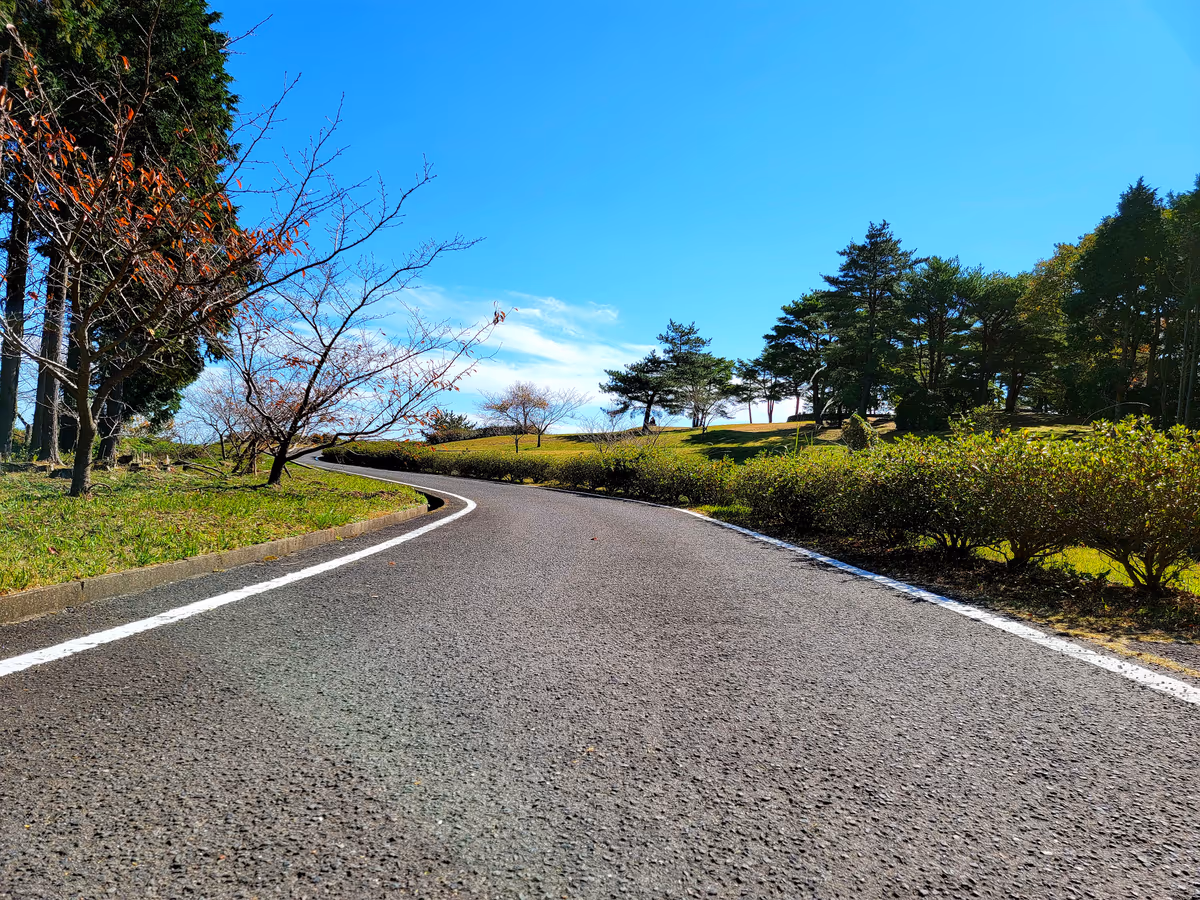 投稿写真：空に続くみたいな道