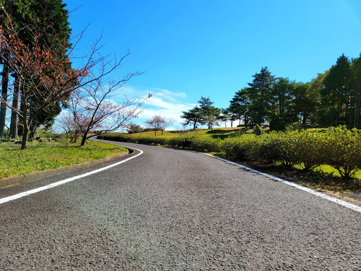 投稿写真：空に続くみたいな道