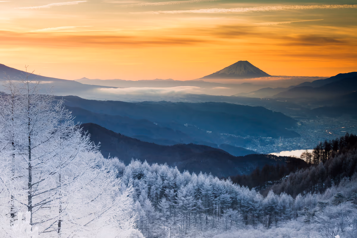 投稿写真：夜明けの富士と霧氷