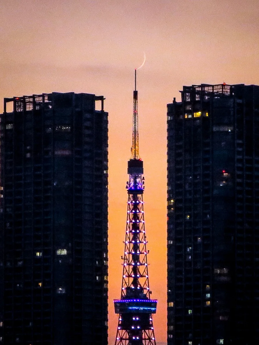 投稿写真：東京タワーの尖端に乗った三日月
