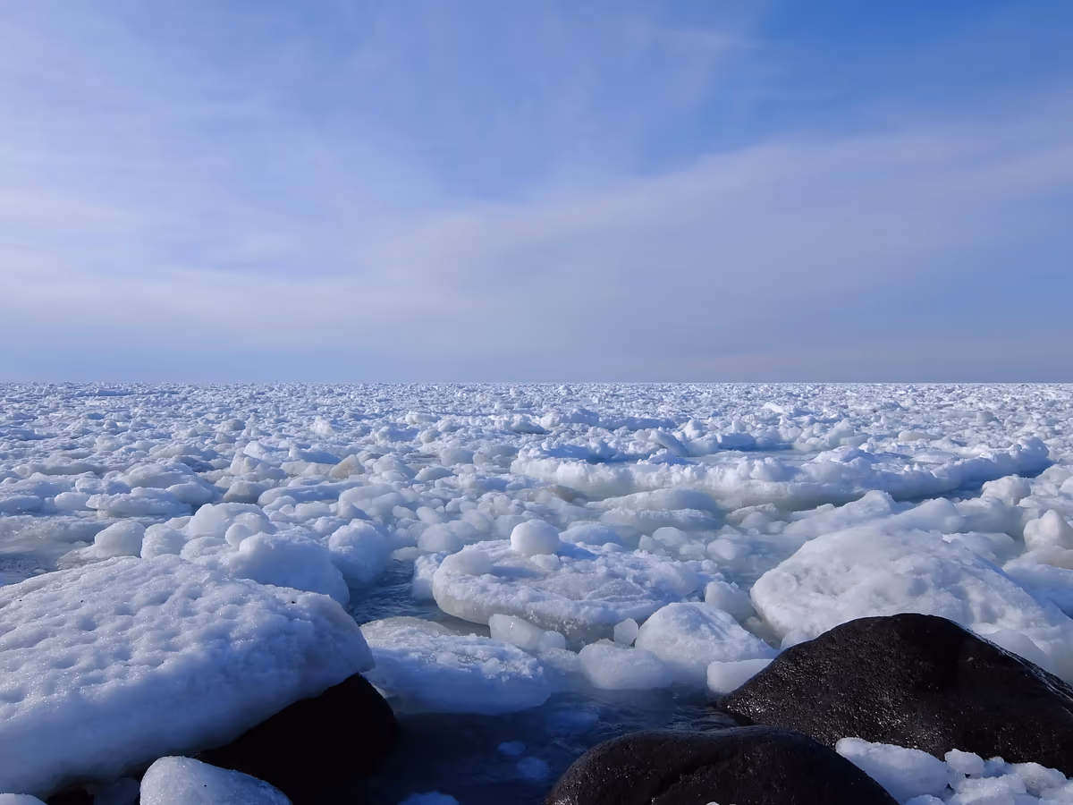 投稿写真：水平線の先まで流氷！