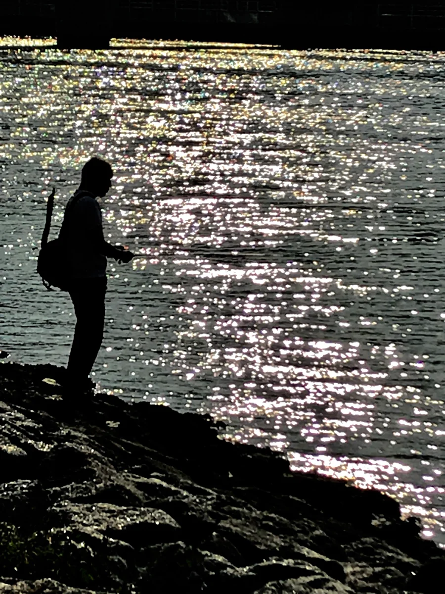 投稿写真：夢追い人