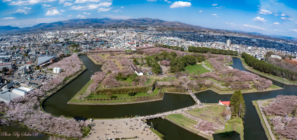 投稿写真：五稜郭の春