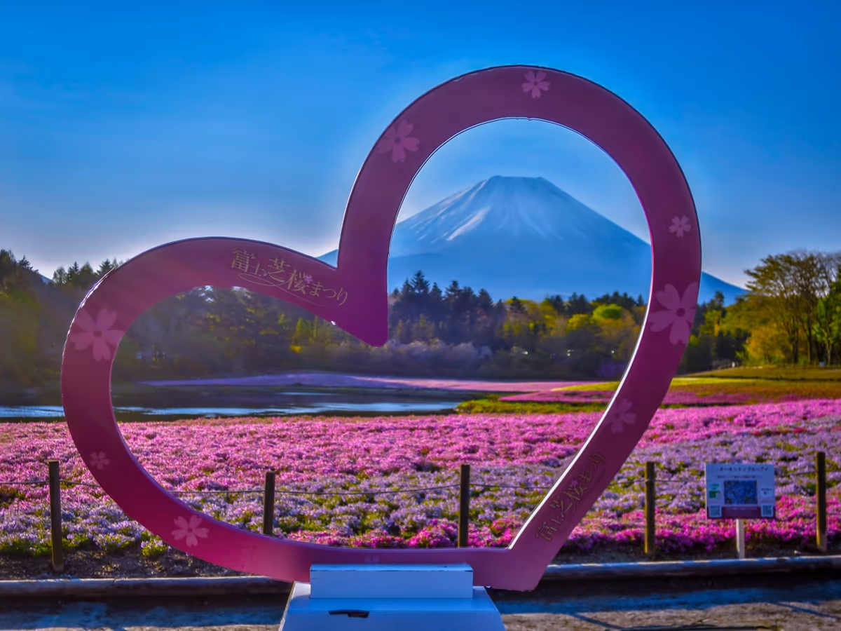 投稿写真：富士芝桜まつり~ハートオブジェ