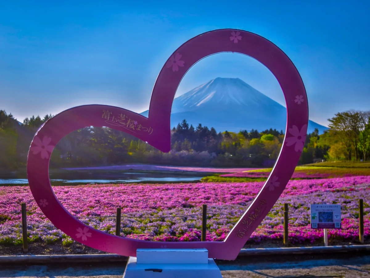 投稿写真：富士芝桜まつり~ハートオブジェ