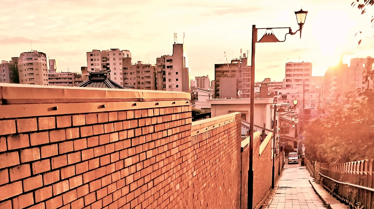 投稿写真：透かし不二 (萌ゆるともしび)