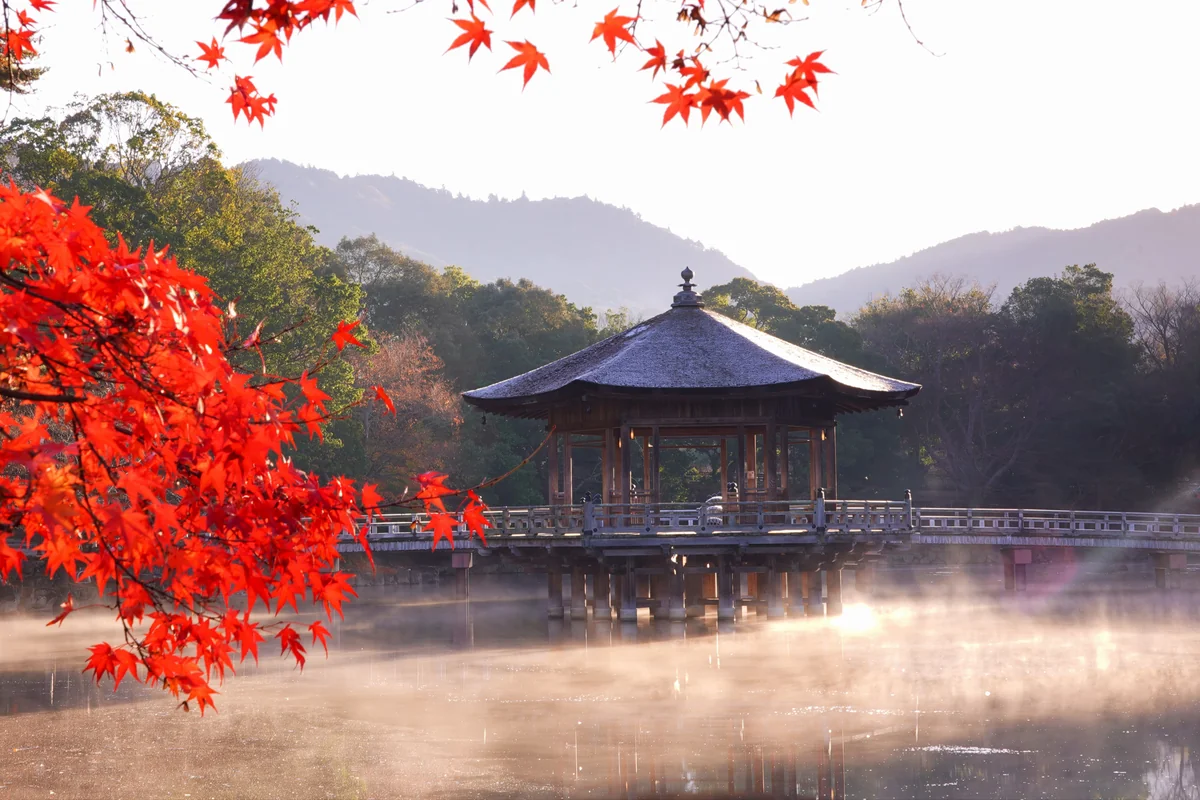 投稿写真：浮見堂