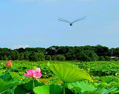  | 絶景事典