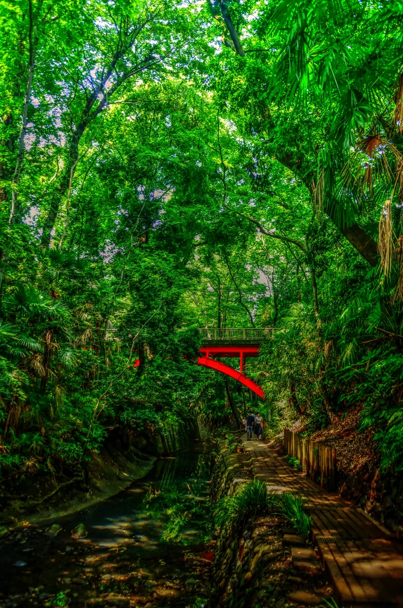 投稿写真：東京等々力渓谷