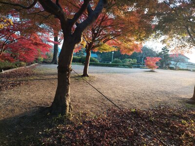  | 絶景事典