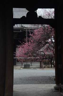  | 絶景事典