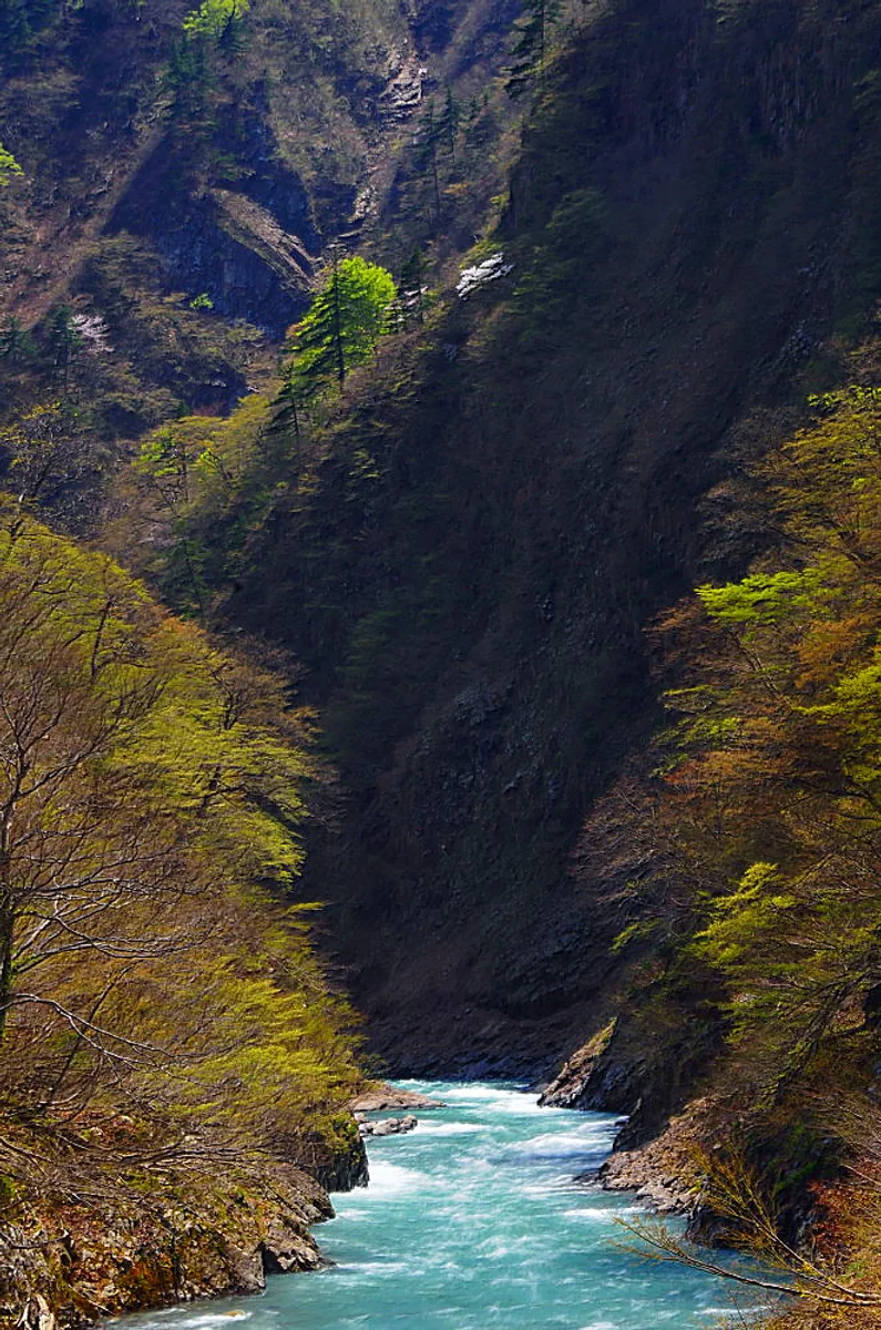 投稿写真：春の清津峡