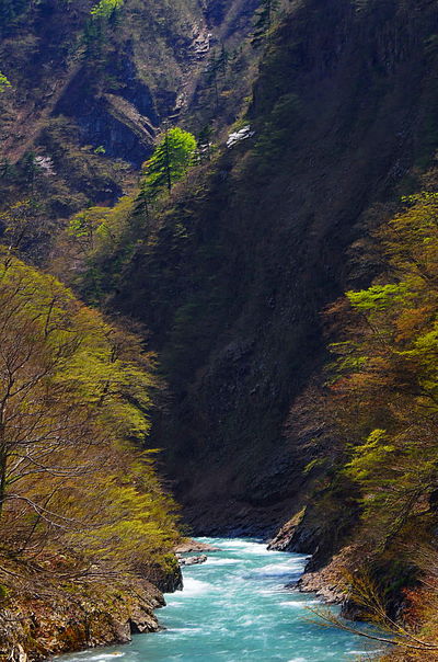 | 絶景事典