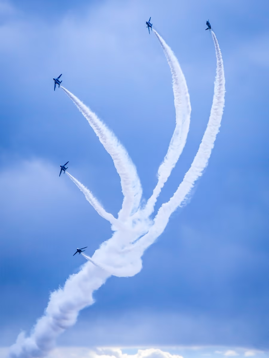 投稿写真：入間航空祭~ブルーインパルス