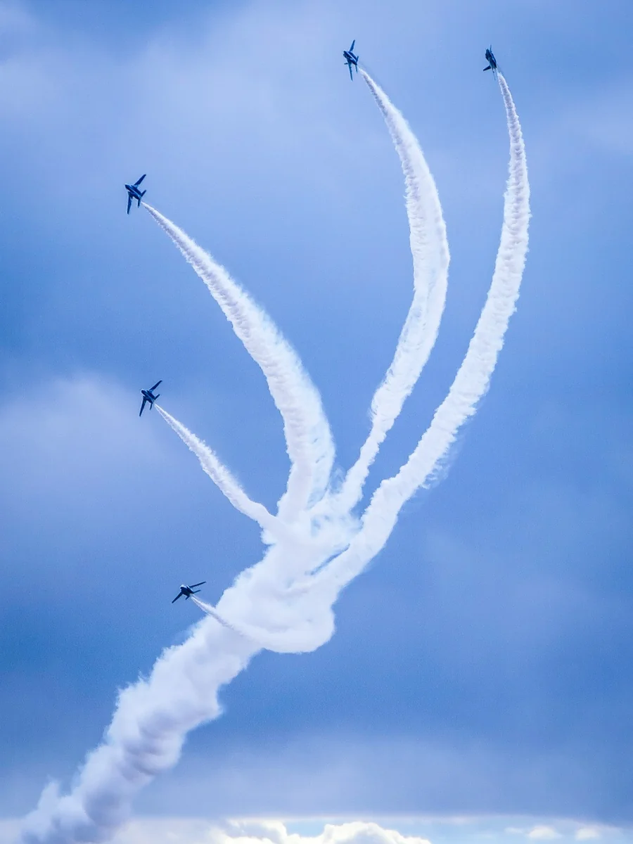 投稿写真：入間航空祭~ブルーインパルス