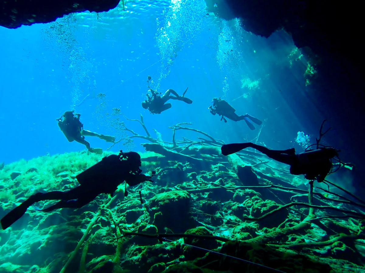 投稿写真：セノーテ・カーウォッシュ