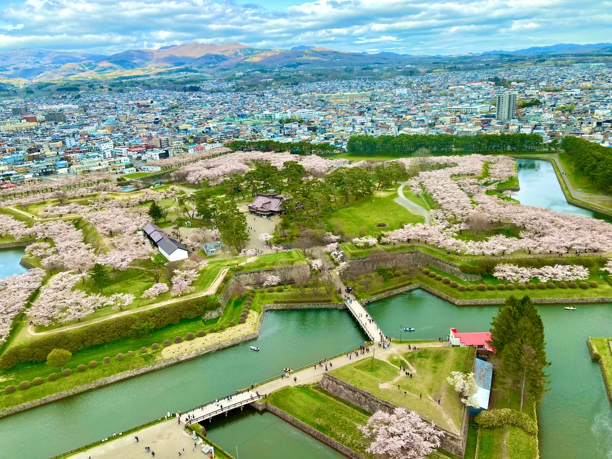 投稿写真：五稜郭