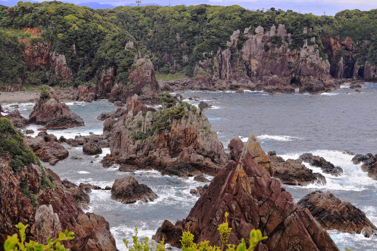 投稿写真：海金剛