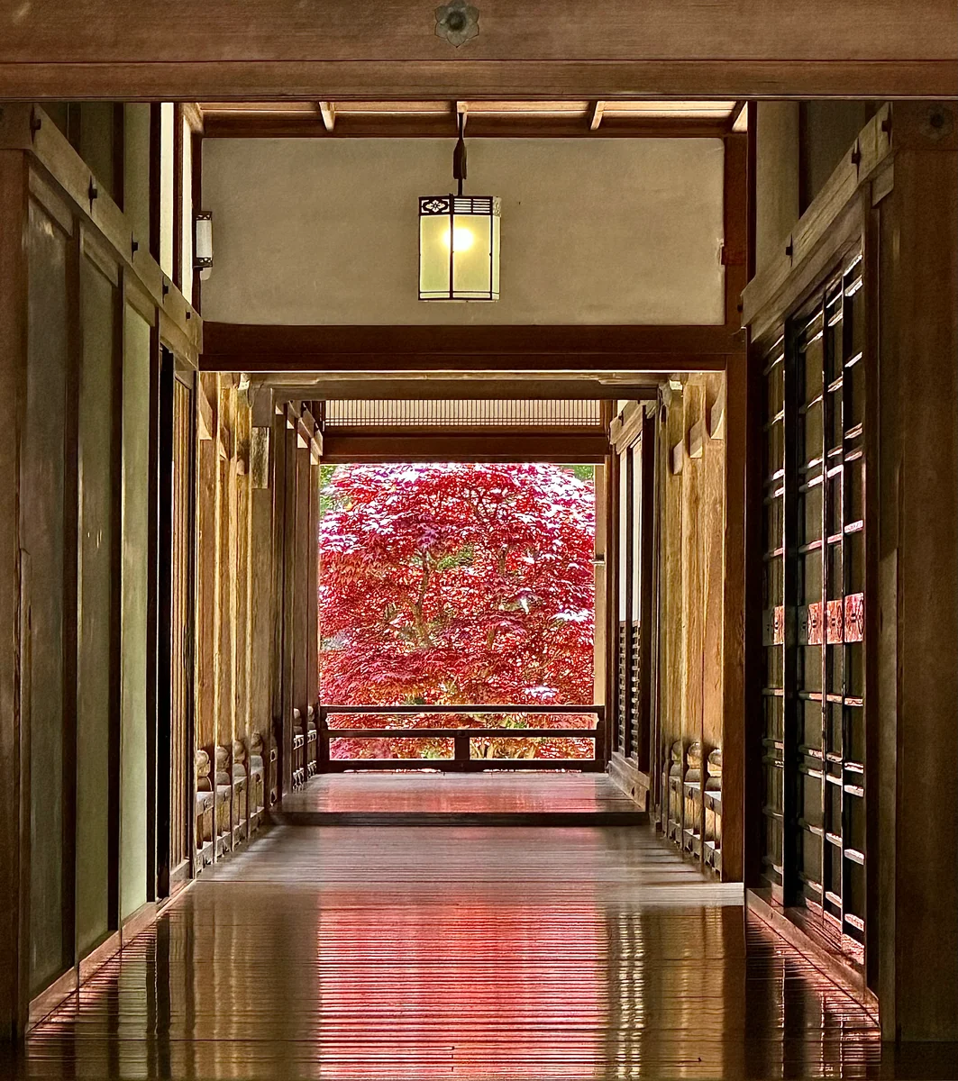 投稿写真：長谷寺