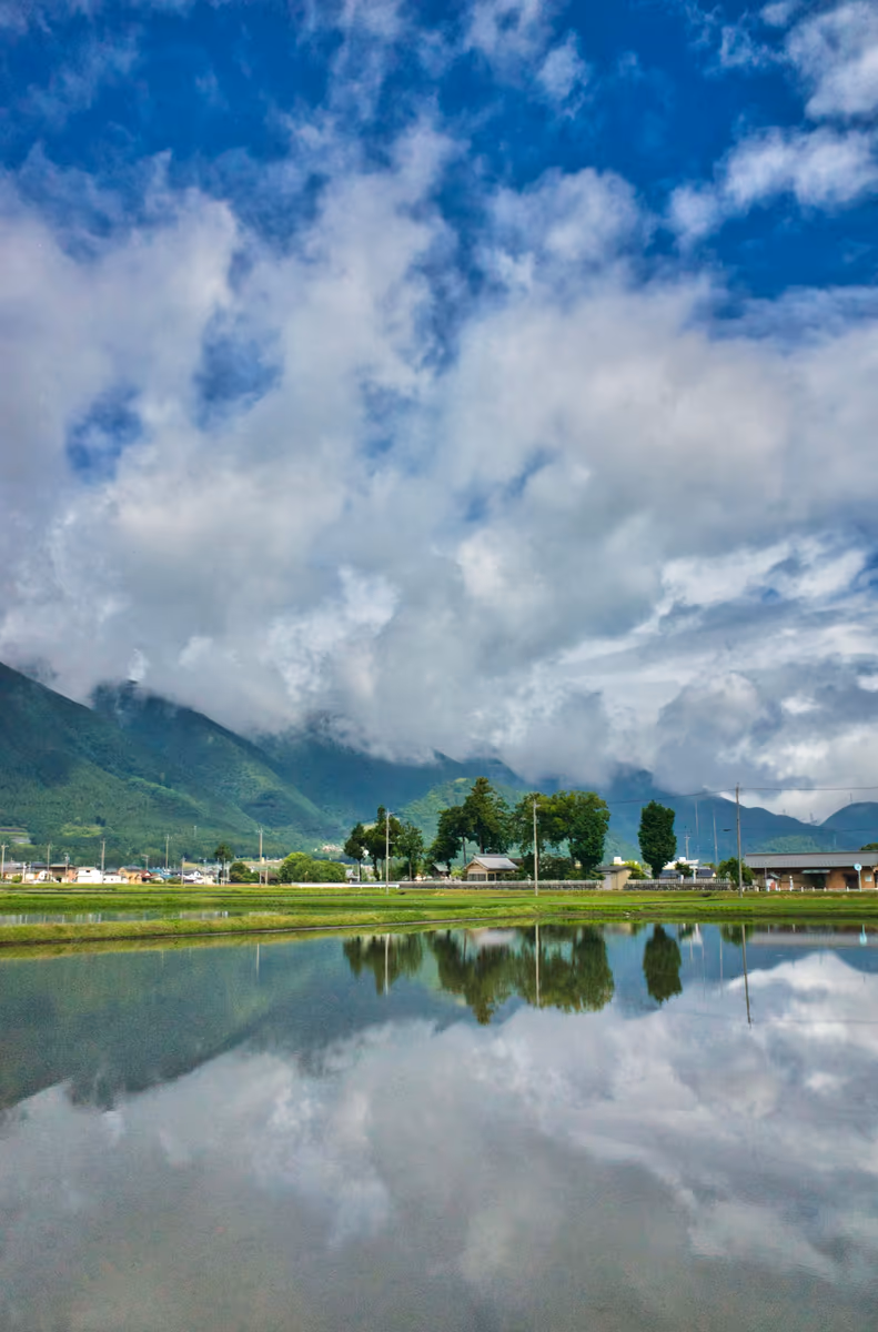 投稿写真：田の水
