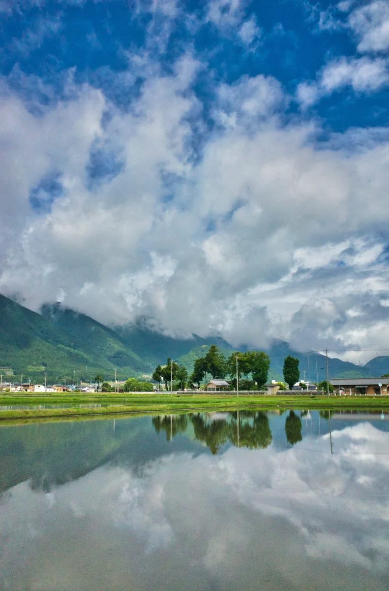 投稿写真：田の水