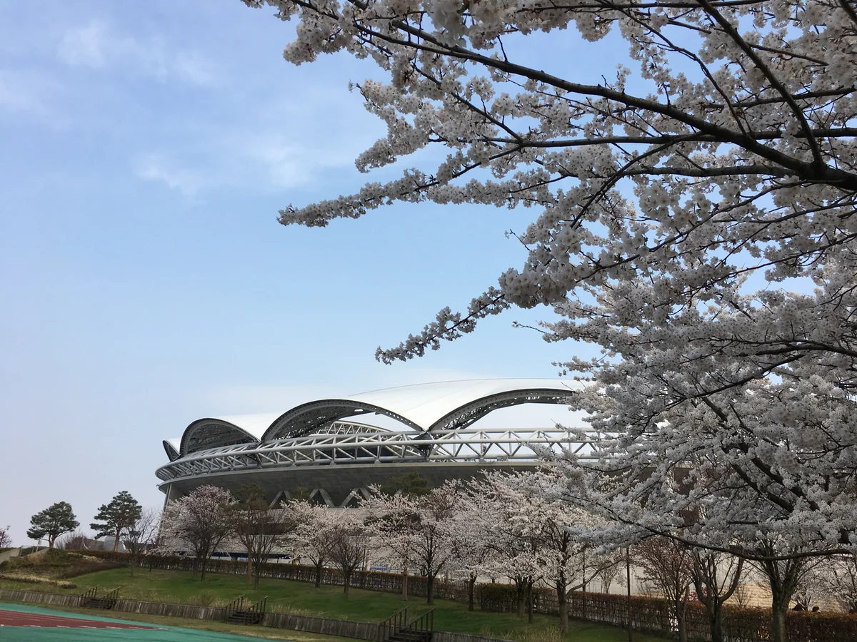 投稿写真：デンカビッグスワンスタジアム