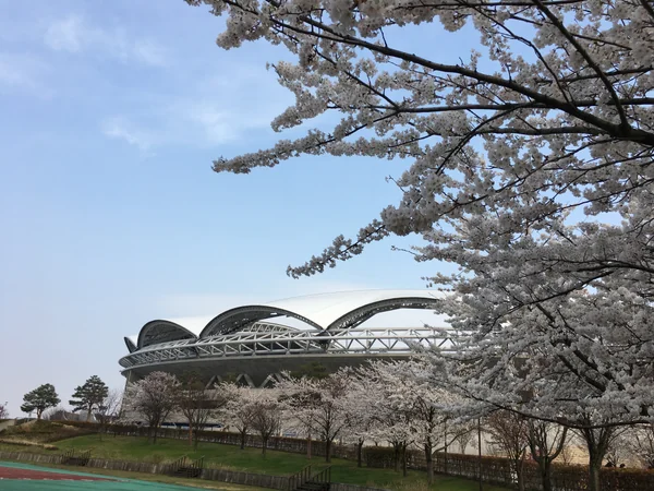 投稿：デンカビッグスワンスタジアム