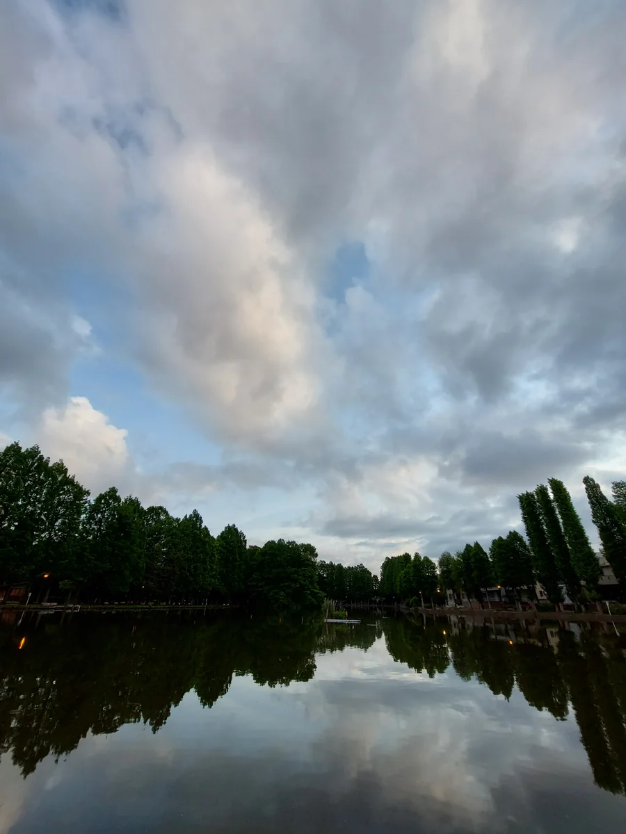 投稿写真：沼の朝