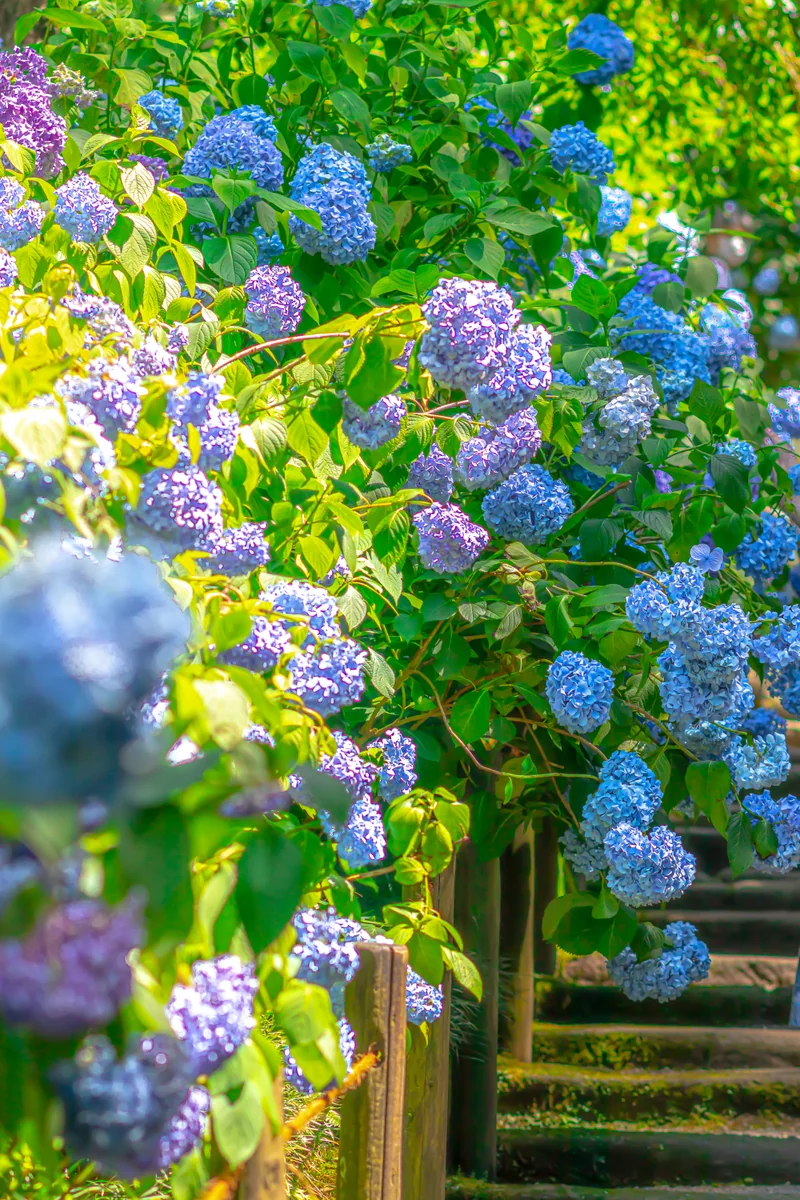 KNDさんの投稿写真