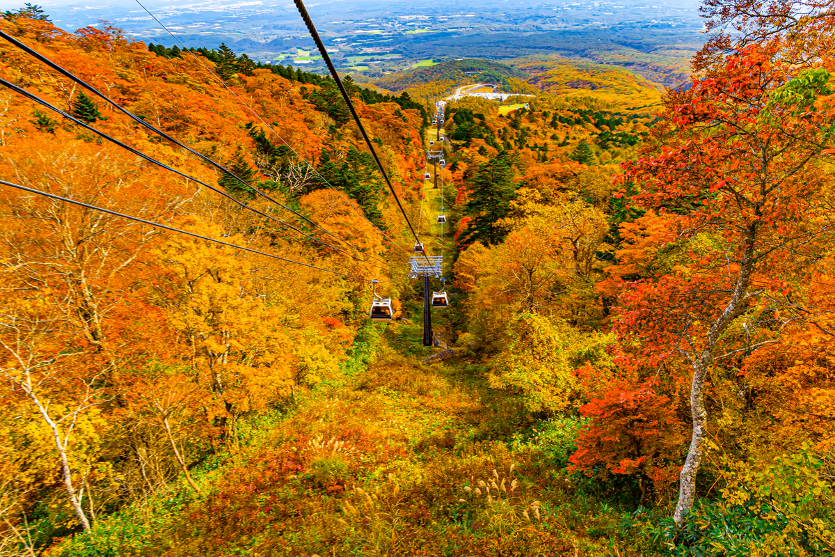 投稿写真：紅葉のマウントジーンズ那須