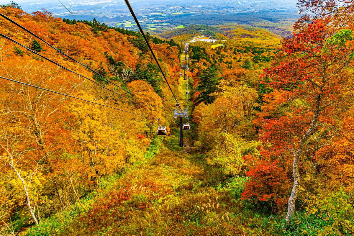 投稿写真：紅葉のマウントジーンズ那須